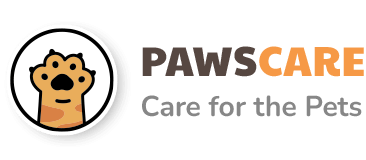 Featured image: Castration du chat